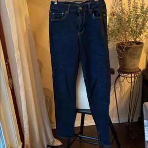 American Eagle Outfitters Dark Blue Skinny Jeans